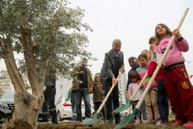 TOKİ’ye Tepkilerini fidan dikerek gösterdiler