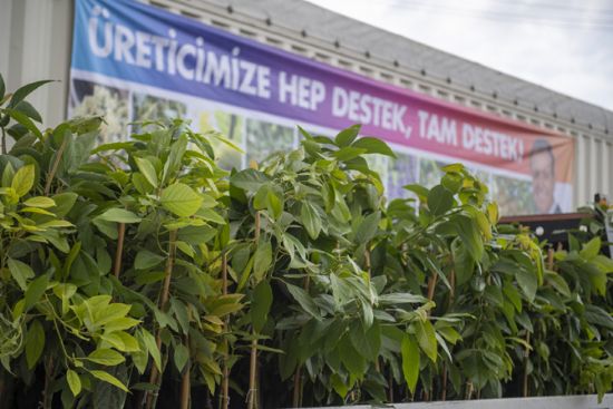 B�Y�K�EH�R, �RET�C�Y� GEL�R� Y�KSEK ALTERNAT�F �R�NLERLE BULU�TURUYOR