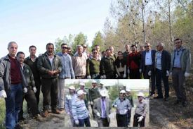 Yavru Vatana Gladyat�r B�cekler G�nderildi