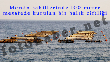 Mersin 6 �l Genel Meclisinin �yesinin Mu�la�ya  gidi�ini konu�uyor