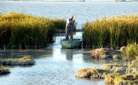 Göksu Deltası Kameralarla İzlenecek