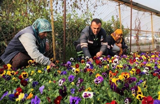 F�DANLIK �RET�YOR AKDEN�Z BAHARA HAZIRLANIYOR