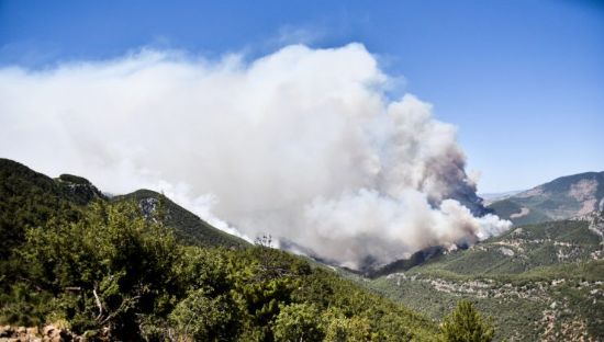 AYDINCIK ORMAN YANGINI B�Y�YOR�