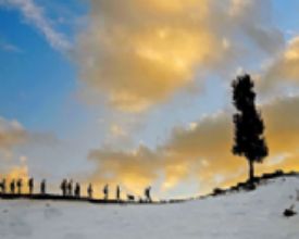 �D�rt Mevsim Mersin� adl� foto�raf yar��mas� sonu�land�