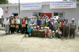 Mersin’li Köylü nergis çiçeğinden kazanacak