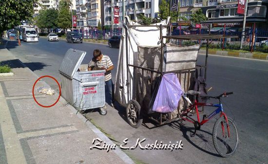 ��P TOPLAYAN �OCUKLAR ���N B�R ARAYA GELD�LER