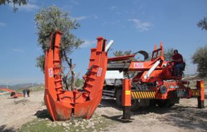 Toroslar Belediyesi hizmetlerinde doğaya saygı