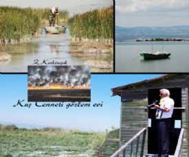 Kuş cenneti her yıl neden yanıyor ?.