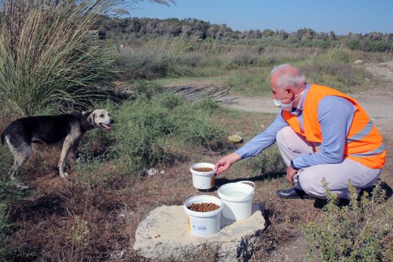 AKDEN�Z BELED�YE BA�KANI G�LTAK, SOKAK HAYVANLARINA MAMA VE SU DA�ITTI