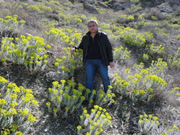 Mersin’de 2014 Yılı BİYOD Çalışmaları Başladı