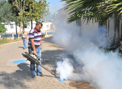 Yaz Bitti Sinekle M�cadele Devam Ediyor