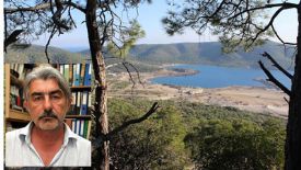 Prof. Dr. Gücü: ÇED raporu ’Akkuyu buraya yapılmamalı’ diye bağırıyor