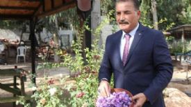 DÜNYANIN EN DEĞERLİ BİTKİLERİ TOROSLAR’DA YETİŞİYOR