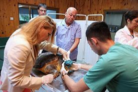 Bu Dünya sadece insanların değildir 