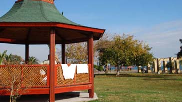 Atat�rk Park�nda �ama��r g�n�..