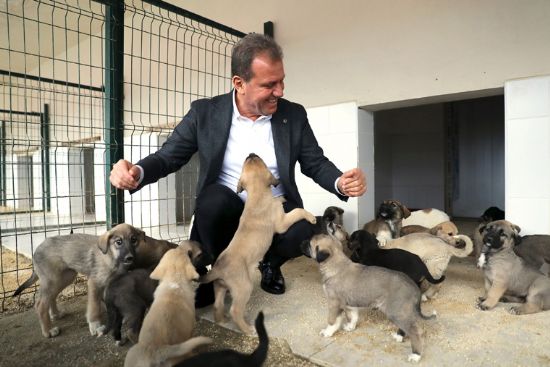 BA�KAN SE�ER  GE��C� HAYVAN BAKIMEV�NDE �NCELEME YAPTI.