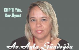 Av. Ayla Gündoğdu yazdı. Dişi Demokrasi