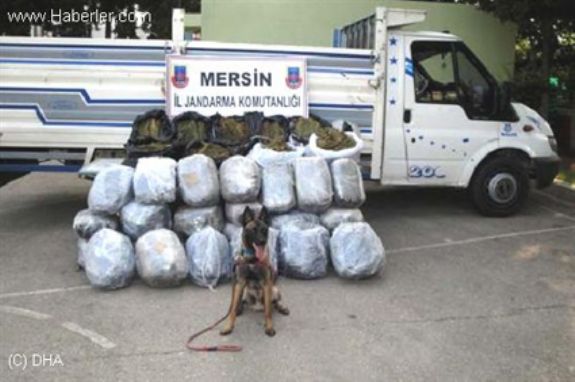 Narkotik köpeği Badi, Esrara Geçit Vermedi