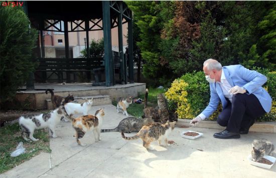 SOKAK HAYVANLARI, AKDEN�Z BELED�YESݒN�N KORUMASI ALTINDA