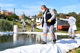 Büyükşehir’in en başarılı olduğu hizmet haşere ile mücadelede