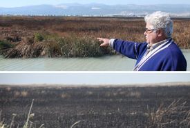 Ku� cennetin de yang�n