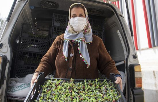 MERS�N B�Y�K�EH�R, 5 MAHALLEDE 62 �RET�C�YE 124 B�N KANTARON F�DES� DA�ITTI