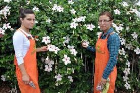 Gelece�in Ziraat��lar� ALATA�da 