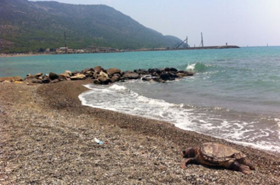 Doğal sit alanı Yeşilovacık sahili tahrip ediliyor