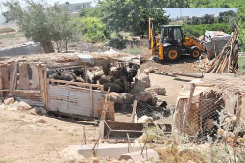 Ba�kan Gen�; �Amac�m�z Kentte Kentli Gibi Ya�ama Bilinci Olu�turmakt�r�