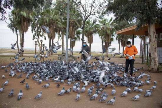 B�Y�K�EH�R SOKAK HAYVANLARININ KARNINI DOYURDU