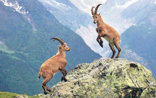 MERS�N BAROSU ��HALEL� DA� KE��S� C�NAYETݒ �PTAL�NE DAVA A�TI