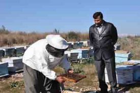 �evre ve Orman M�d�rl���nden �ok g�zel bir proje