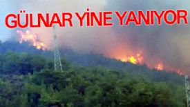 Gülnar’da büyük orman yangını