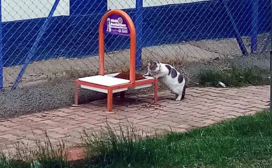  TOROSLAR BELED�YES� M�N�K DOSTLARI UNUTMADI