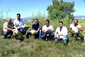 Tedavisi tamamlanan 13 leylek doğaya salındı