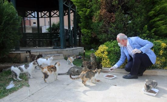 BA�KAN G�LTAK, �SOKAKTAK� CANLARI�  ELLER�YLE BESLED�