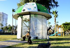 Mersin Büyükşehirden anlamlı bir hizmet