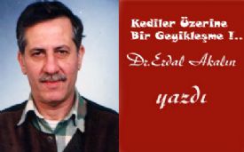 Kediler Üzerine Bir Geyikleşme !..