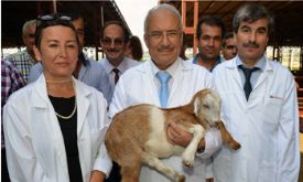 Şehir içerisinde hayvan satışı olmayacak