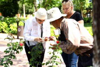 MERSİN’DE DOĞAYI UĞUR BÖCEKLERİ KORUYACAK