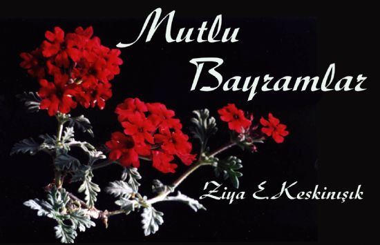 Mutlu Bayramlar