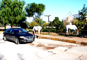 Buras� sizce neresi ?. 