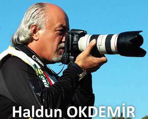 Her kes MERS�N�e MERS�N niye tersine�