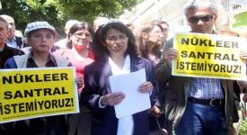 B�raksak n�kleer santrali fay hatt�n�n �zerine kuracaklar!