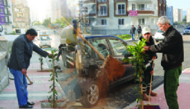 Yenişehir Turunç Kokacak