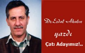 Dr.Erdal Akalın’dan güncel bir yazı